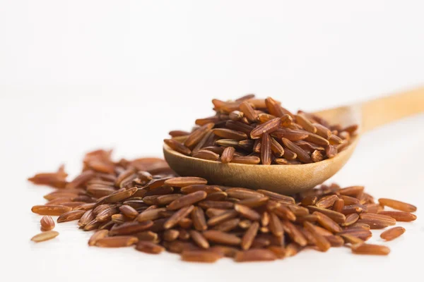 Red rice — Stock Photo, Image