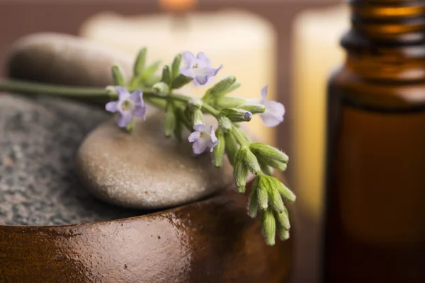 Ätherisches Öl und Lavendelblüten — Stockfoto