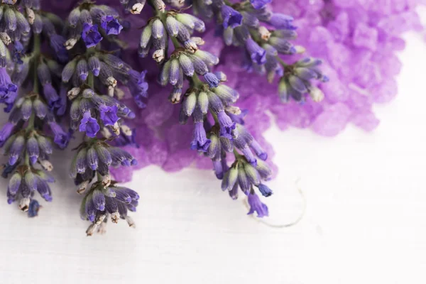 Sal de banho de lavanda e alguma lavanda fresca — Fotografia de Stock