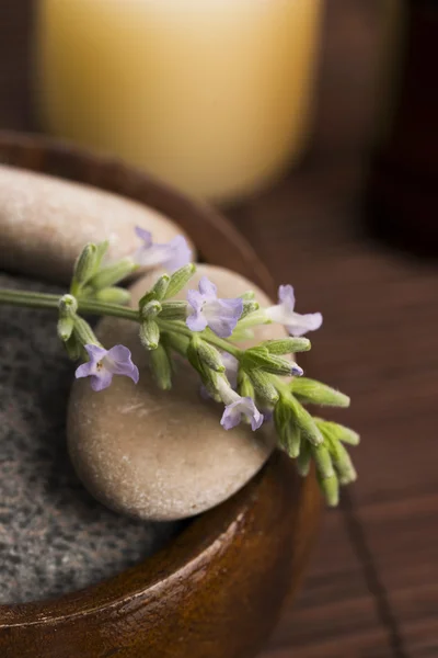 Olio essenziale e fiori di lavanda — Foto Stock