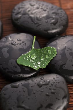 Zen taşlar ve ginko biloba yaprakları ile su damlaları