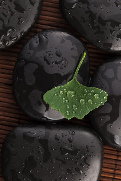 Pedras zen e folhas de ginko biloba com gotas de água — Fotografia de Stock