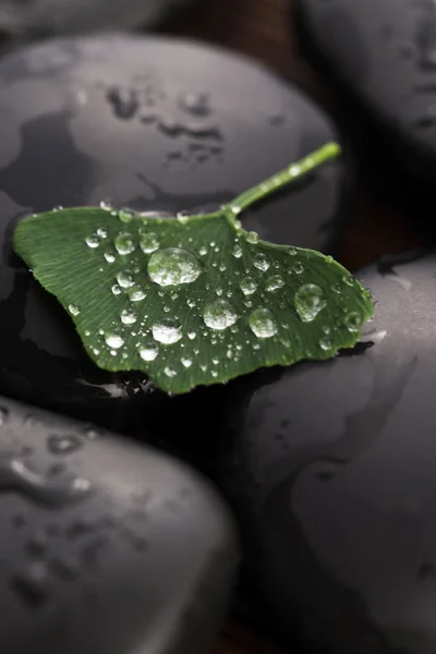 Zen stenen en ginko biloba bladeren met waterdruppels — Stockfoto
