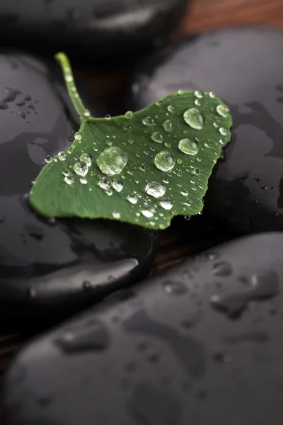 Piedras zen y hojas de ginko biloba con gotas de agua — Foto de Stock