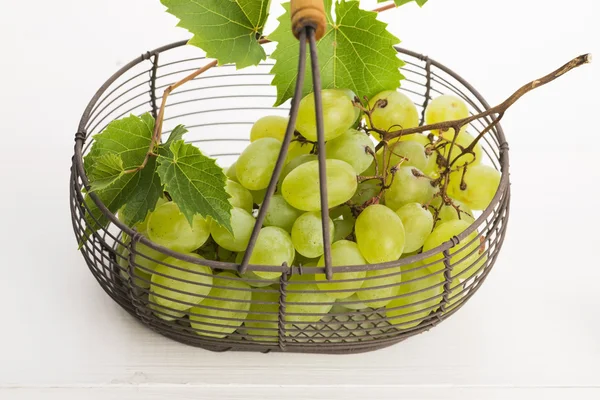 Bunch of white grapes in basket — Stock Photo, Image