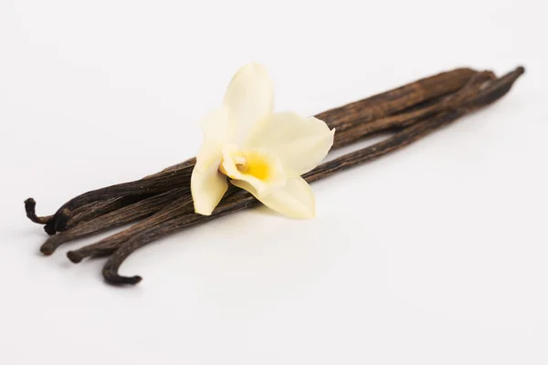 Vanilla pods — Stock Photo, Image