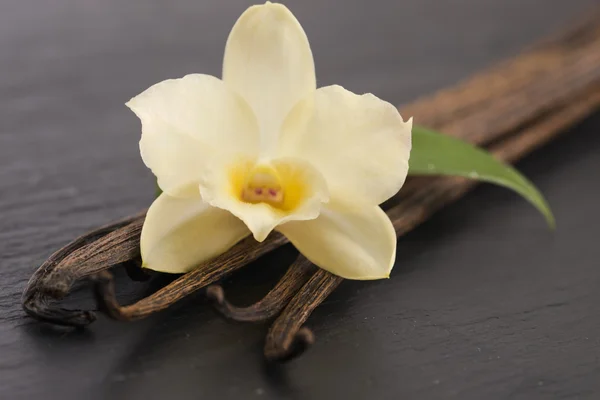 Vanilla pods — Stock Photo, Image