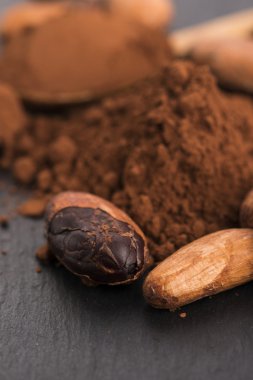 Kakao fasulyesi ve kakao tozu.