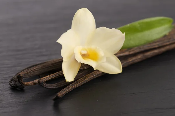 Vanilla pods — Stock Photo, Image