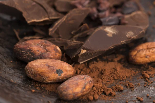 Chocolate picado com cacau — Fotografia de Stock