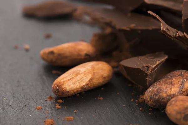 Chocolate picado con cacao — Foto de Stock