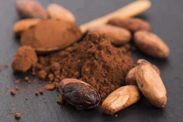 Cacao beans and cacao powder in spoon — Stock Photo, Image