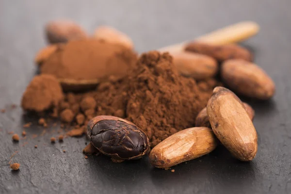 Cacao beans and cacao powder in spoon — Stock Photo, Image