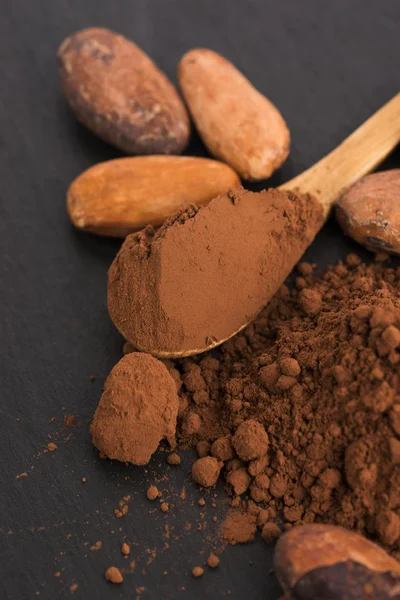 Fagioli di cacao e cacao in polvere in cucchiaio — Foto Stock