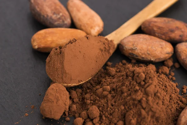 Kakaobohnen und Kakaopulver im Löffel — Stockfoto