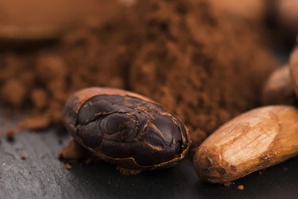 Cacao beans and cacao powder in spoon — Stock Photo, Image