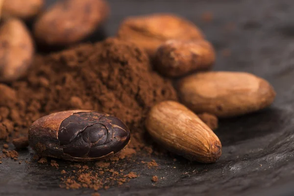 Cacao beans and cacao powder in spoon — Stock Photo, Image