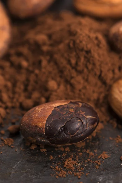 Granos de cacao y polvo de cacao en cuchara —  Fotos de Stock