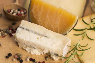 çeşitli peynir türleri