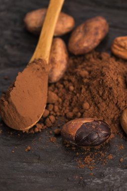 Kakao fasulyesi ve kakao tozu.