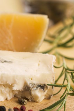 çeşitli peynir türleri