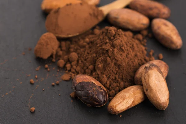 Cacao beans and cacao powder in spoon — Stock Photo, Image