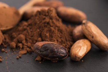 Kakao fasulyesi ve kakao tozu.