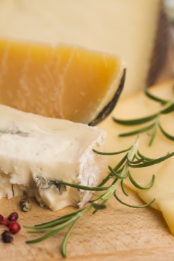 çeşitli peynir türleri