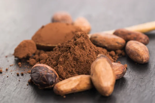 Cacaobonen en cacaopoeder in lepel — Stockfoto