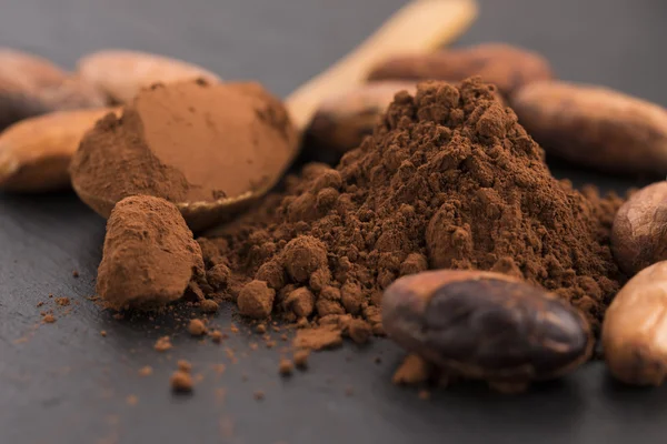 Granos de cacao y polvo de cacao en cuchara — Foto de Stock