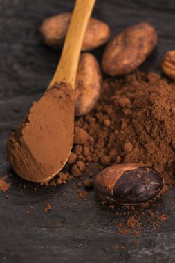 Kakao fasulyesi ve kakao tozu.