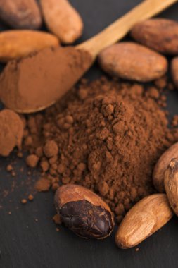 Kakao fasulyesi ve kakao tozu.