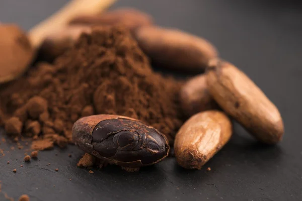 Granos de cacao y polvo de cacao en cuchara —  Fotos de Stock