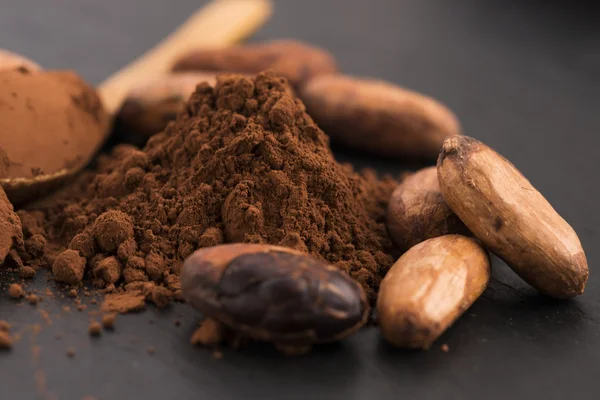 Kakaobönor och kakaopulver i sked — Stockfoto