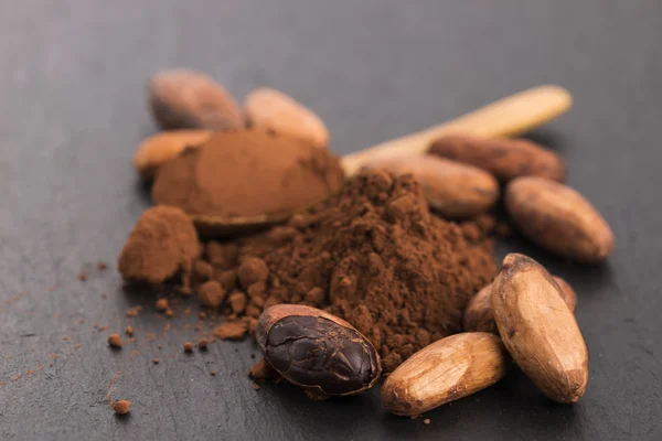 Бобы какао и порошок какао в ложке — стоковое фото