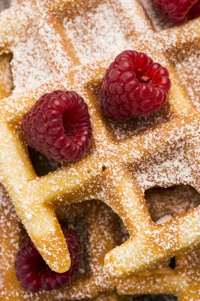 Waffle freschi guarniti con zucchero a velo e lamponi — Foto Stock