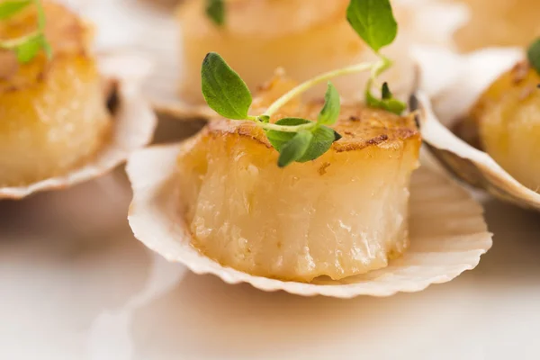 Jakobsmuscheln mit Butter, Knoblauch und Kräutern — Stockfoto