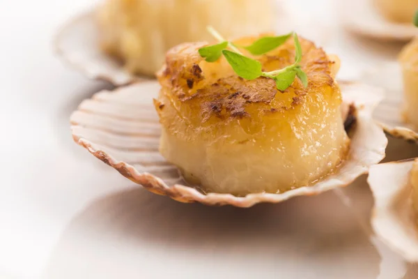 Scallops with butter, garlic and herbs — Stock Photo, Image