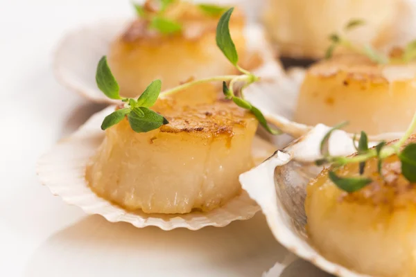 Scallops with butter, garlic and herbs — Stock Photo, Image