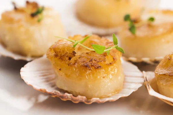 Scallops with butter, garlic and herbs — Stock Photo, Image