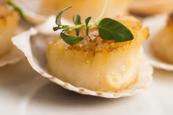 Scallops with butter, garlic and herbs — Stock Photo, Image