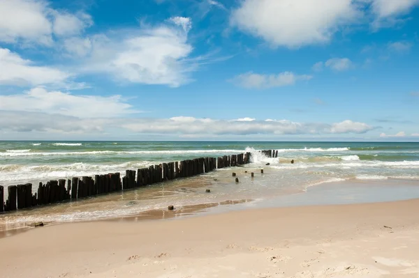 Danmarks kust Stockfoto