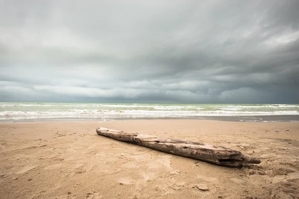 Costa de denmark — Fotografia de Stock