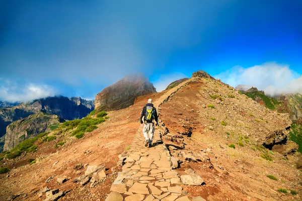 Trekking auf pico do arieiro — Stockfoto