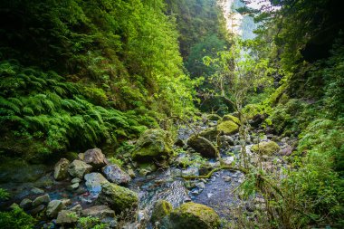 levada Caldeirao Verde sonunda manzara