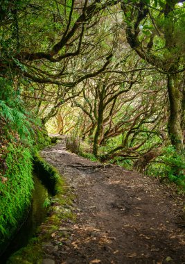 trekking levada Caldeirao Verde