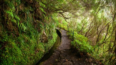 levada Caldeirao Verde trekking patika