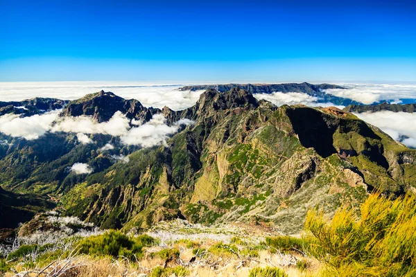 Clouds and peaks at the top of Pico Ruivo — Stock Photo, Image