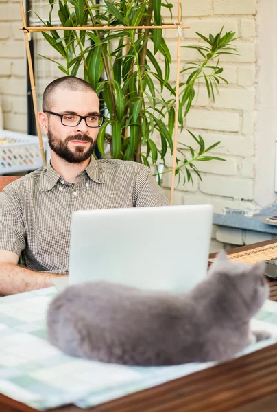 Man met laptop met zijn kat — Stockfoto