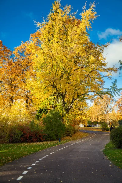 Silnice v podzimním parku — Stock fotografie